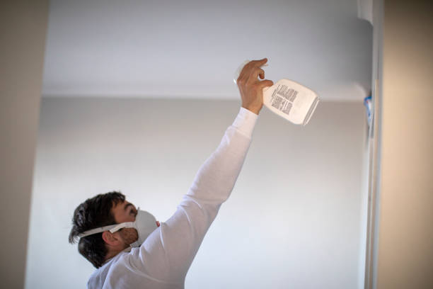 Best Attic Mold Removal  in Jacksonville, AR