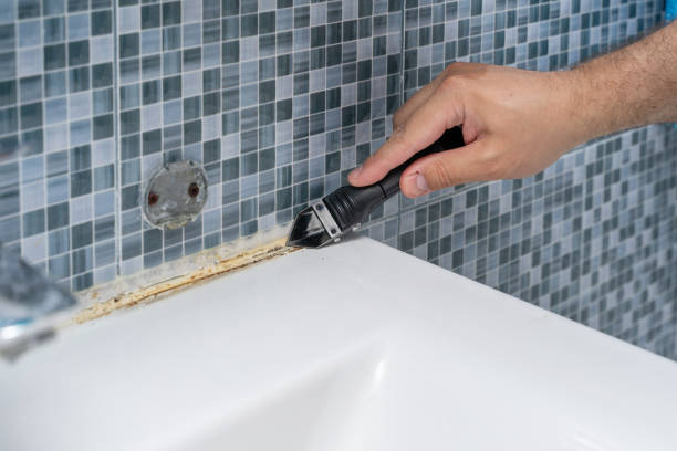 Best Toxic Mold Removal  in Jacksonville, AR